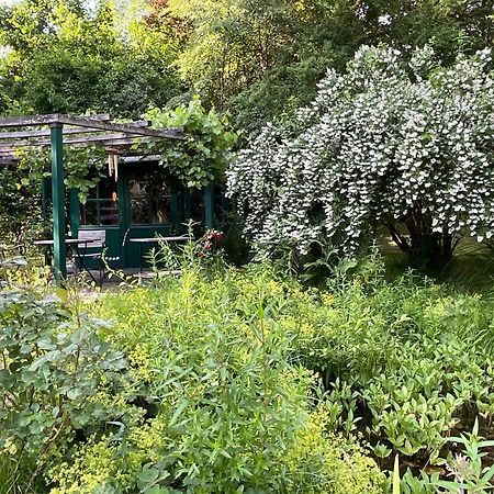 Design Ferienwohnung Mit Bauerngarten Waldkirchen Exteriör bild