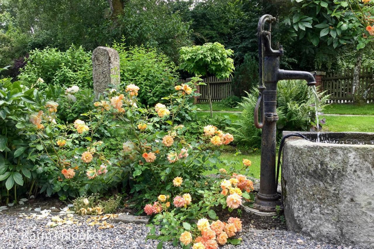 Design Ferienwohnung Mit Bauerngarten Waldkirchen Exteriör bild