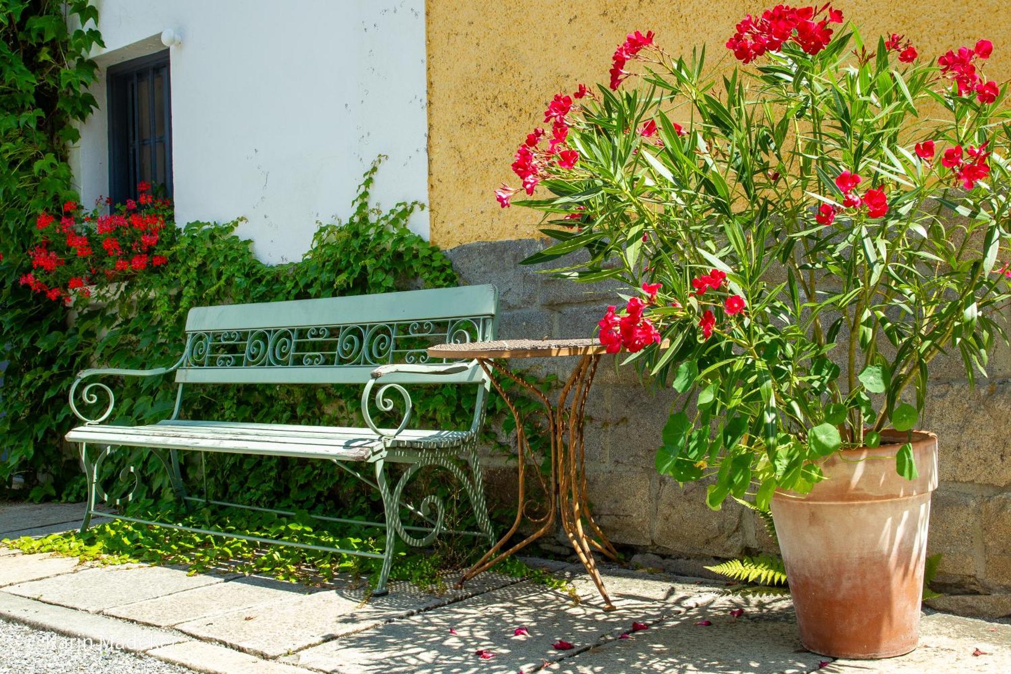 Design Ferienwohnung Mit Bauerngarten Waldkirchen Exteriör bild