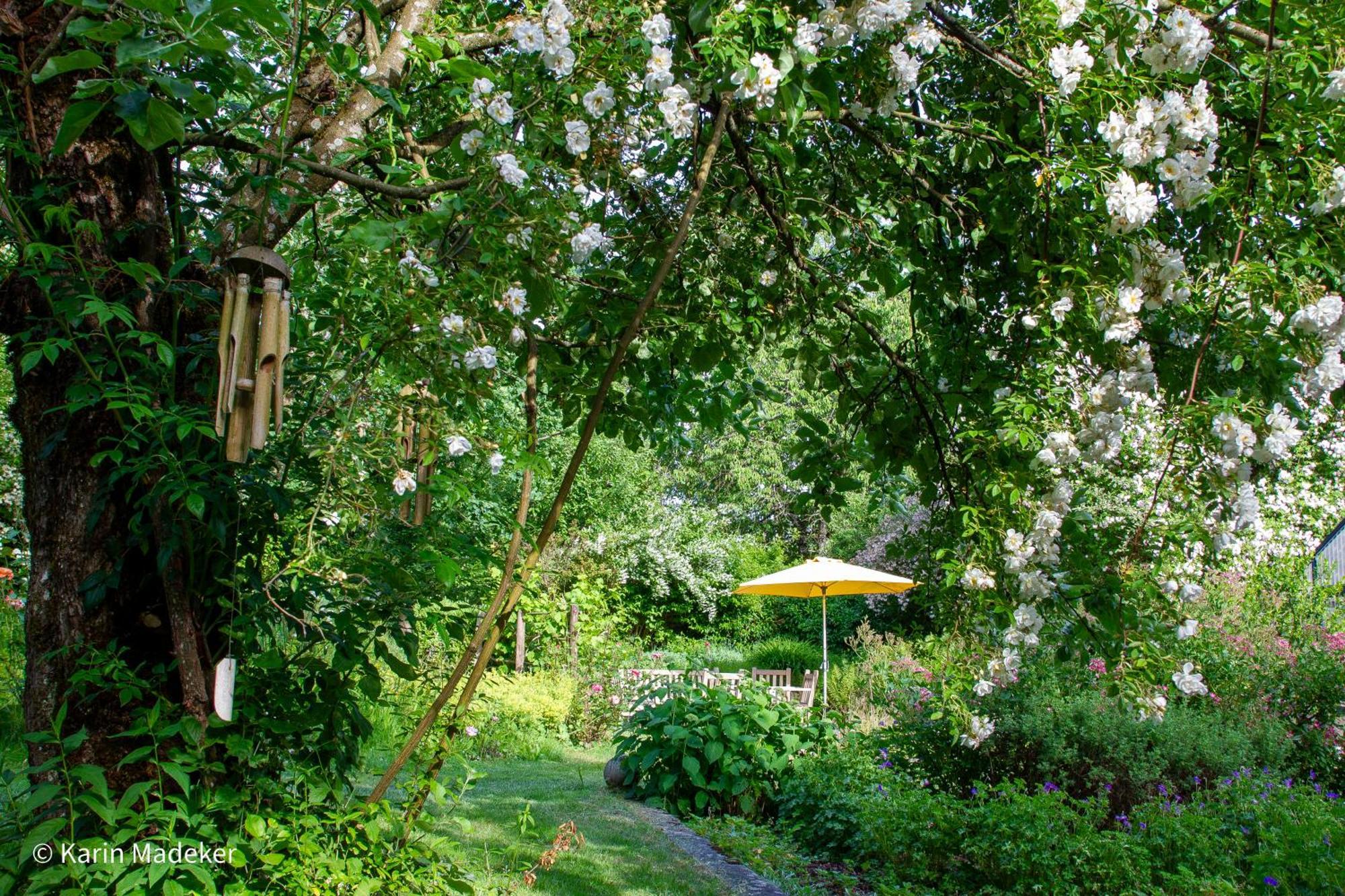 Design Ferienwohnung Mit Bauerngarten Waldkirchen Exteriör bild
