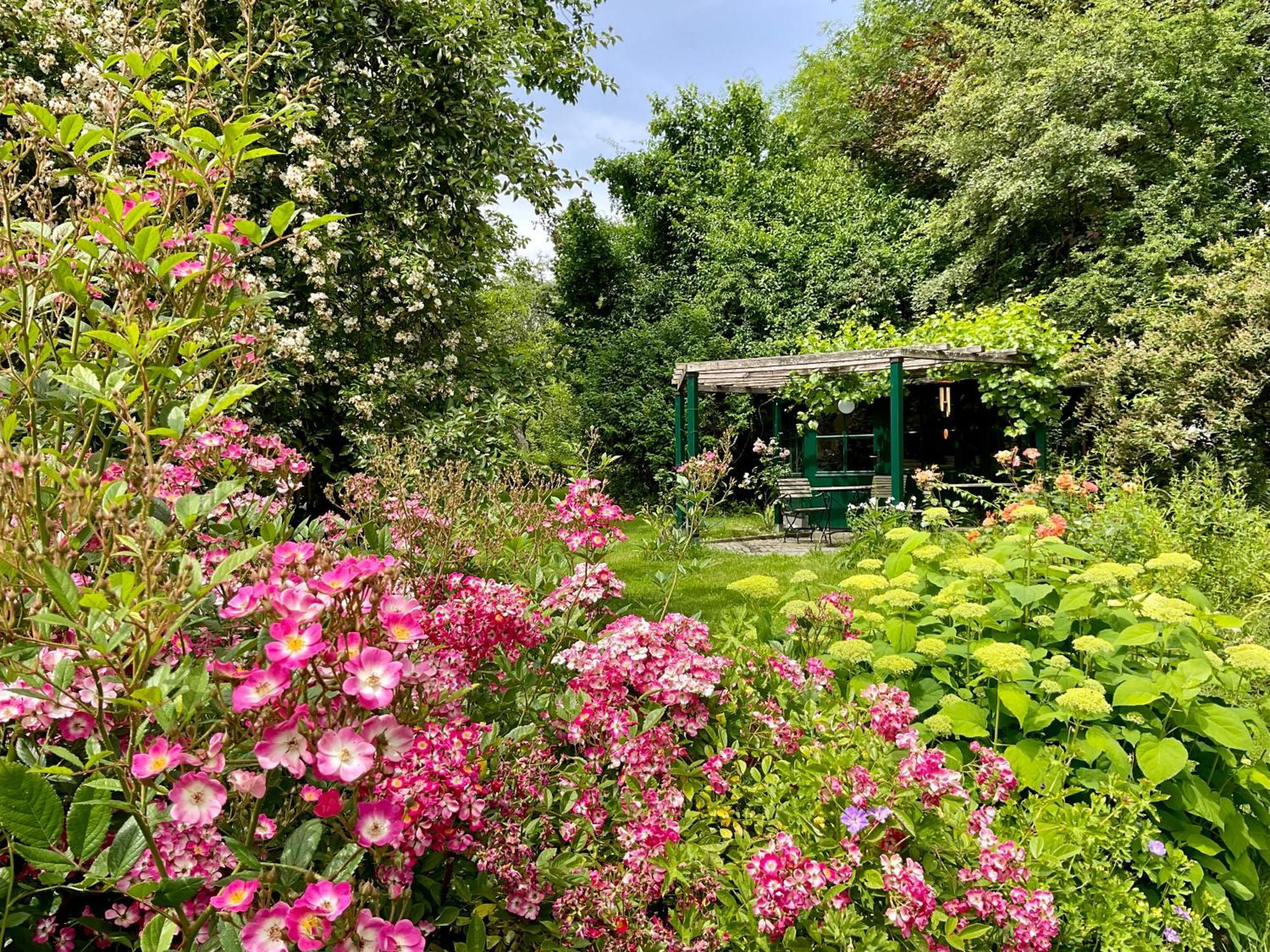 Design Ferienwohnung Mit Bauerngarten Waldkirchen Exteriör bild