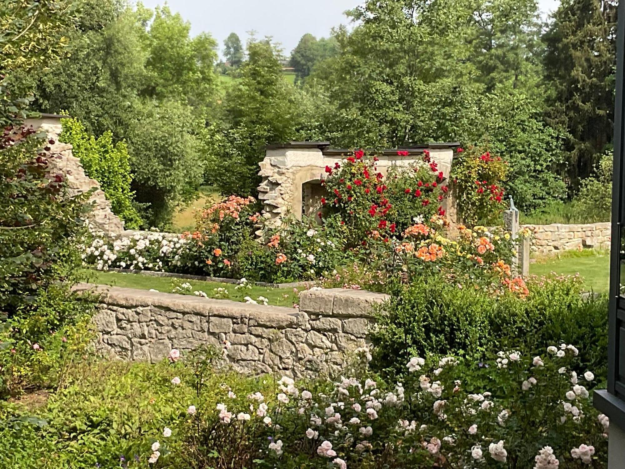 Design Ferienwohnung Mit Bauerngarten Waldkirchen Exteriör bild